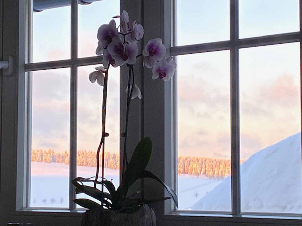 Berghaus Carlsfeld Villa Eibenstock Dış mekan fotoğraf